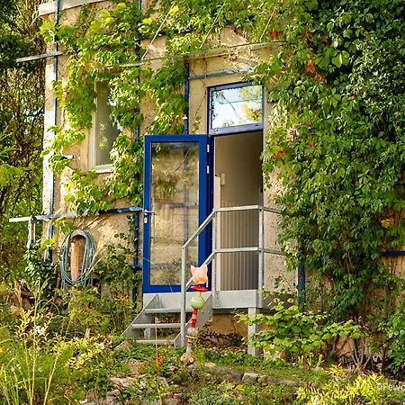 Fewo Am Schwanseebad Mit Garten - Ruhig, Familienfreundlich Und Zentrumsnah Weimar  Exterior photo